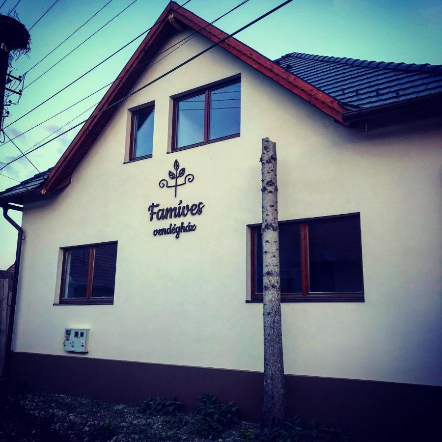 Famives Vendeghaz Racul Exterior photo